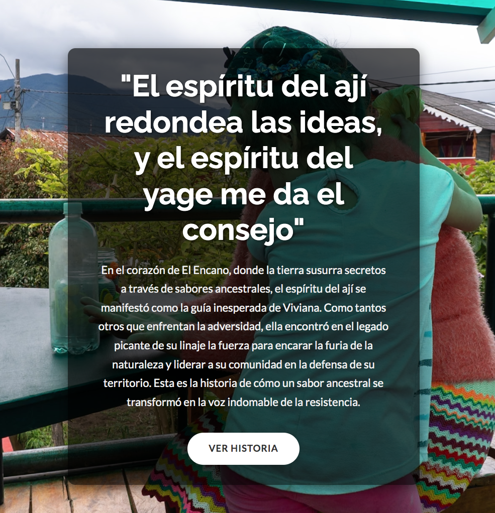 Captura de pantalla 2025-05-16 a la(s) 11.34.49 a.m.